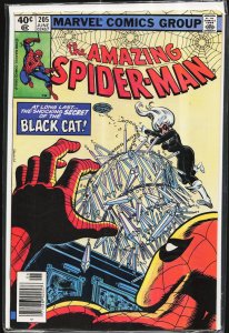 The Amazing Spider-Man #205 (1980) Spider-Man
