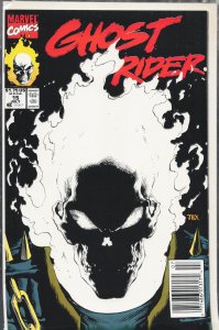 Ghost Rider #15 (1991) Ghost Rider