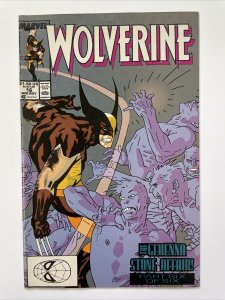 Wolverine 16