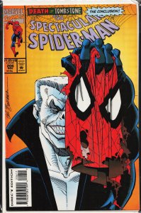 The Spectacular Spider-Man #206 (1993) Spider-Man