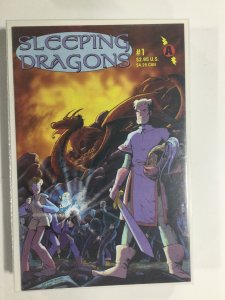 Sleeping Dragons #1 (2000) NM5B115 NEAR MINT NM