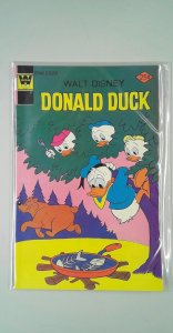 Donald Duck #173 (1976)