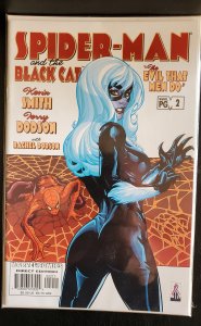 Spider-Man/Black Cat: The Evil that Men Do #2 (2002)
