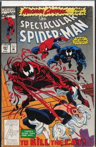 The Spectacular Spider-Man #201 (1993) Spider-Man