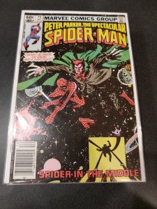 The Spectacular Spider-Man #73 (1982)