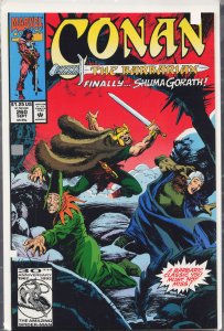 Conan the Barbarian #260 (1992) Conan