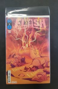 The Flash #13 (2024)