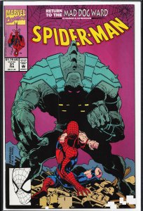 Spider-Man #31 (1993) Spider-Man