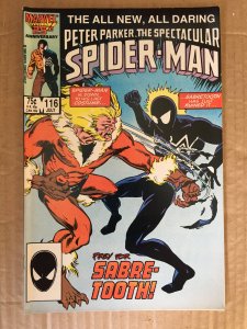 Peter Parker The Spectacular Spider-Man #116