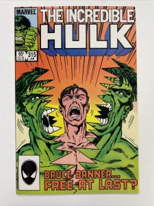 Incredible Hulk 315