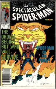 The Spectacular Spider-Man #171 (1990) Spider-Man