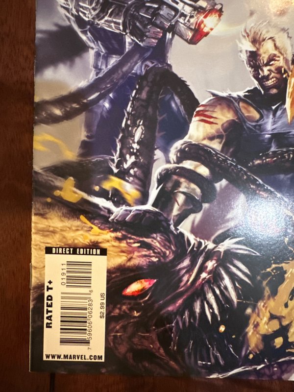 Cable #19 (2009)