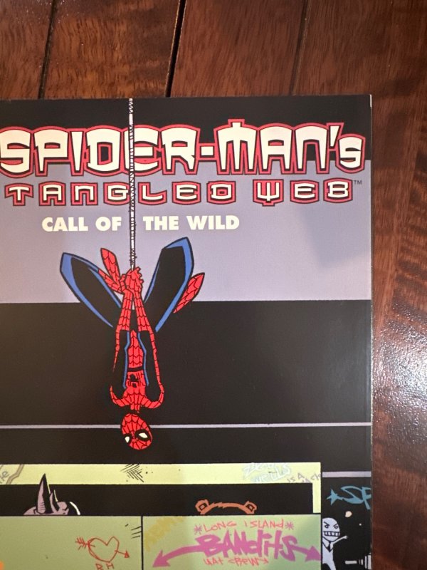 Spider-Man's Tangled Web #19 (2002)