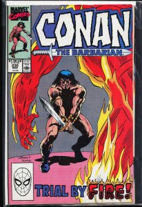 Conan the Barbarian #230 (1990) Conan