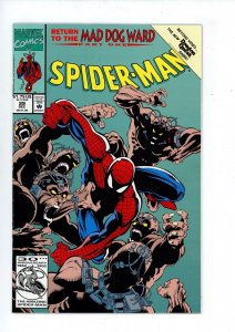 Spider-Man #29 (1992) Marvel Comics