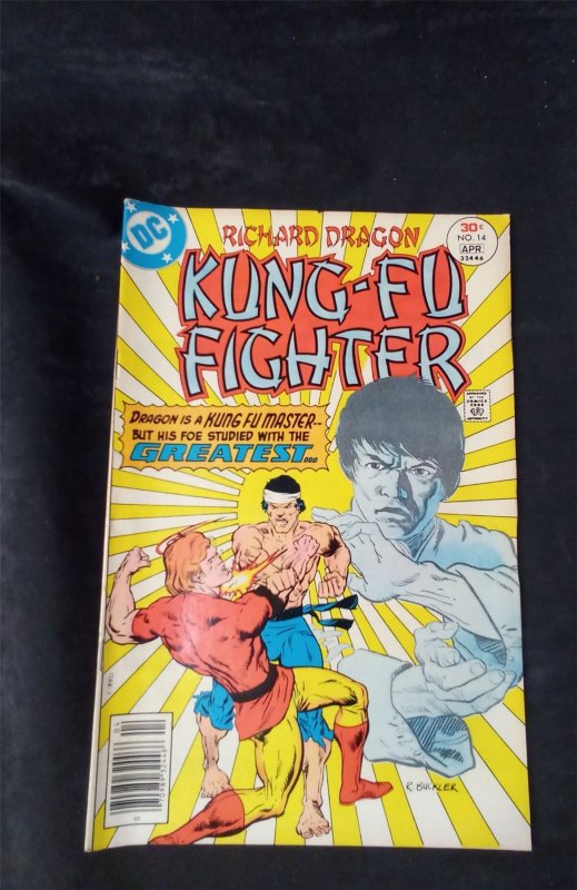 Richard Dragon, Kung Fu Fighter #14 1977 dc-comics Comic Book dc-comics Comic...