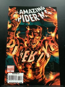 The Amazing Spiderman #581 Variant (2009)