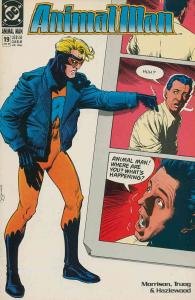 Animal Man #19 FN ; DC | Grant Morrison Brian Bolland