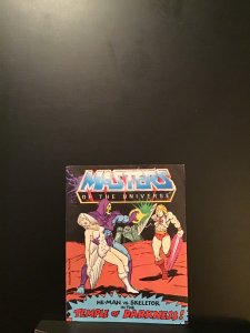 Masters of the Universe mini comic temple of darkness
