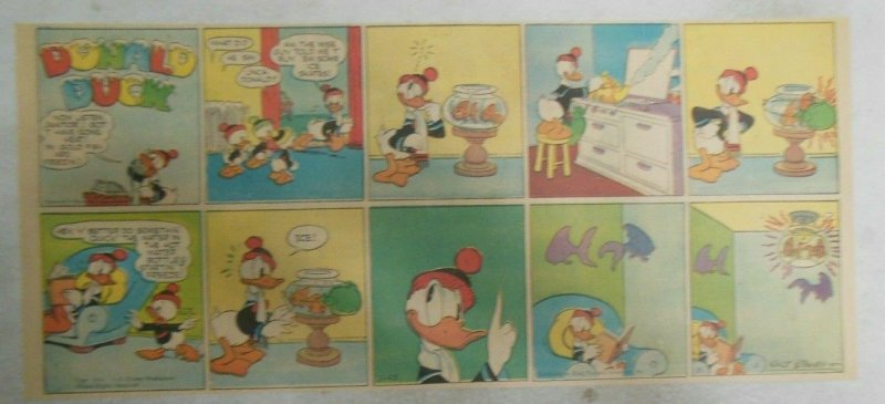 (41) Donald Duck Sunday Pages by Walt Disney from 1944 Third Page Size