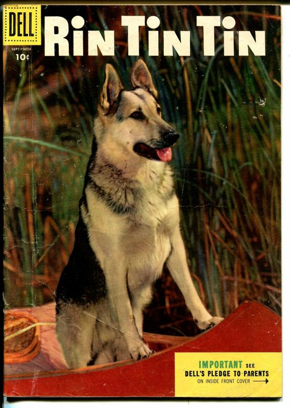 Rin Tin Tin #10 1955-Dell-photo cover-famous German Shepherd-G