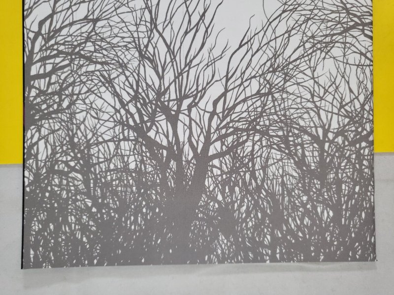 The Woods #1 Matthew Woodson 1:10 Variant 2014 Boom! Studios Optioned