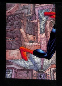 Peter Parker: Spider-Man #1