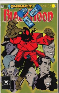 The Black Hood #10 (1992) Black Hood