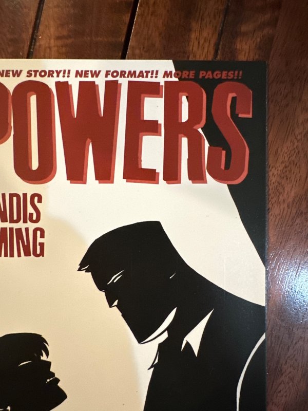 Powers #29 (2008)