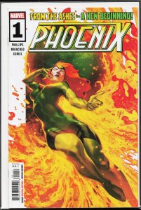 Phoenix #1 (2024) Phoenix