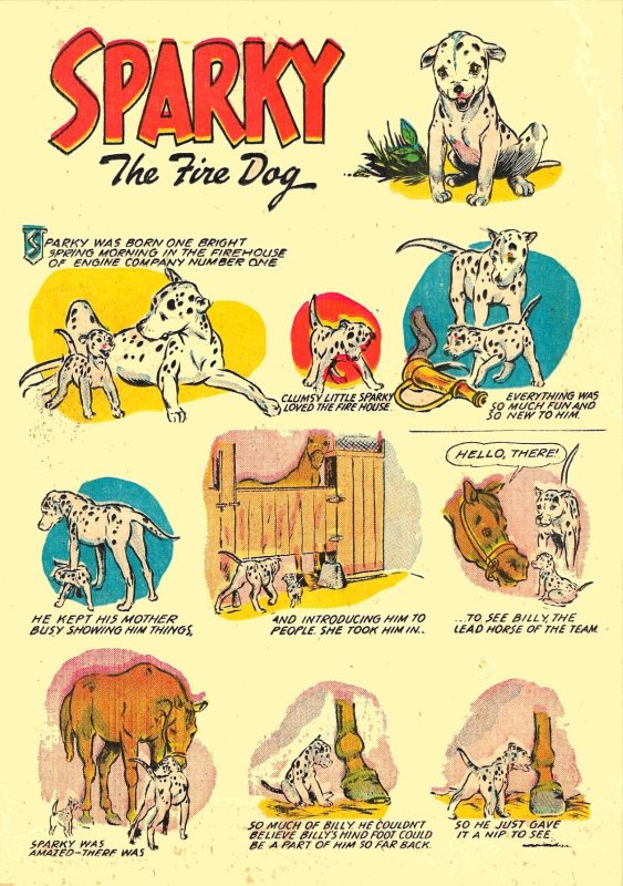 Animal Comics #18 (1945)