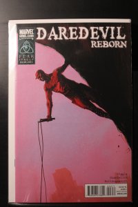 Daredevil: Reborn #3 (2011)