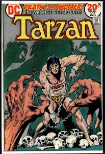 Edgar Rice Burroughs' Tarzan #224 (1973)
