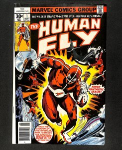 Human Fly #1