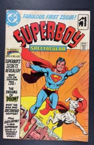 Superboy Spectacular (1980)