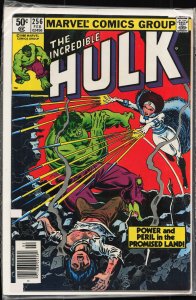 The Incredible Hulk #256 (1981) Hulk [Key Issue]