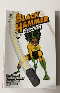 Black Hammer Reborn #1 Variant Cover