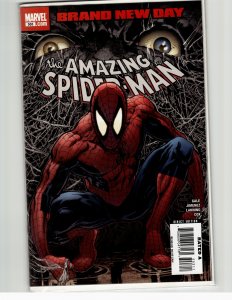 The Amazing Spider-Man #553 (2008)