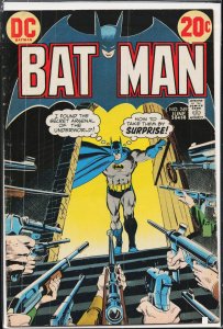 Batman #249 (1973) Batman