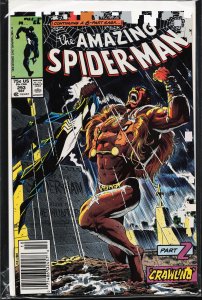 The Amazing Spider-Man #293 (1987) Spider-Man