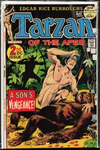 Edgar Rice Burroughs' Tarzan #208 (1972)