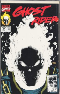 Ghost Rider #15 (1991) Ghost Rider
