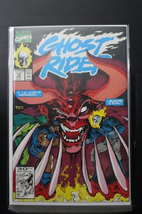 Ghost Rider #19 Direct Edition (1991)