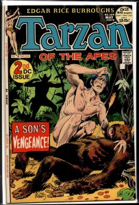 Edgar Rice Burroughs' Tarzan #208 (1972)