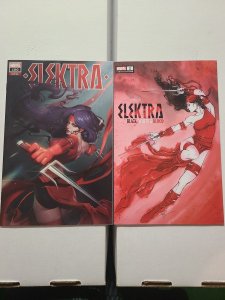 Elektra Set - #100 R1C0 Variant & Black, White, and Blood #1 Sabine Rich Variant