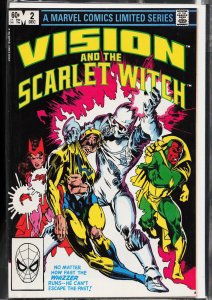 Vision and the Scarlet Witch #2 (1982) The Vision