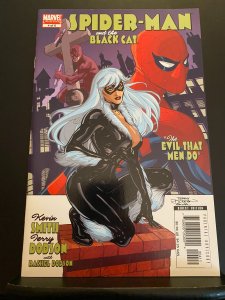 Spider-Man/Black Cat: The Evil that Men Do #4 (2006)