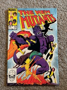 The New Mutants #14 (1984)