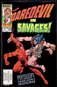 Daredevil #202