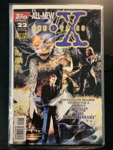 X-Files #22 (1996)
